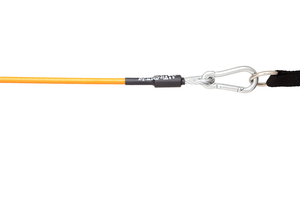 Indestructible hotsell dog lead